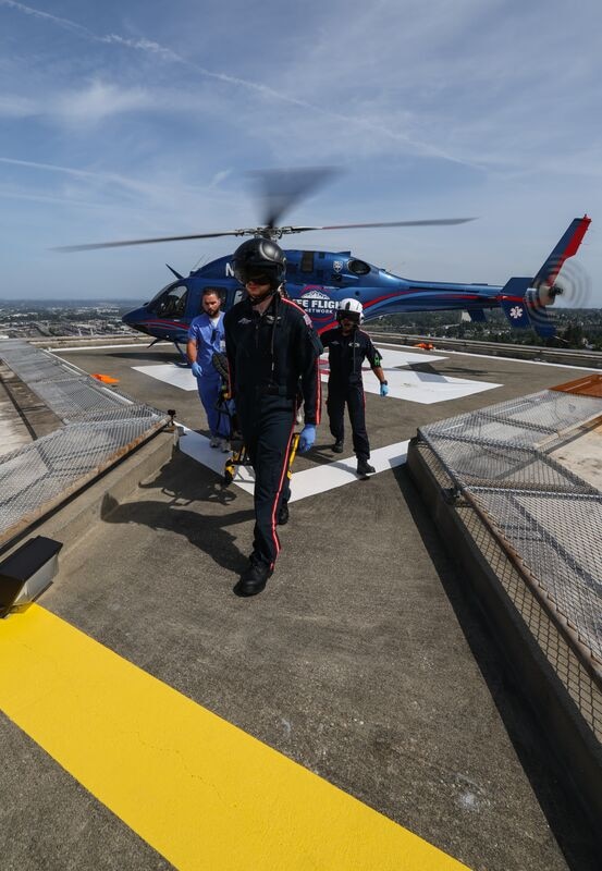 Web_Standard-LFN_429_2025_377A8755