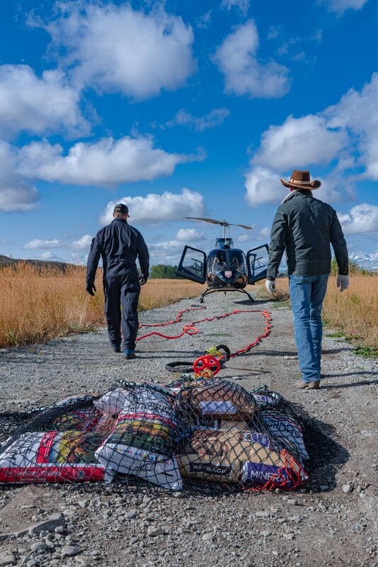 Rocky Mountain Rotors Bell 505
