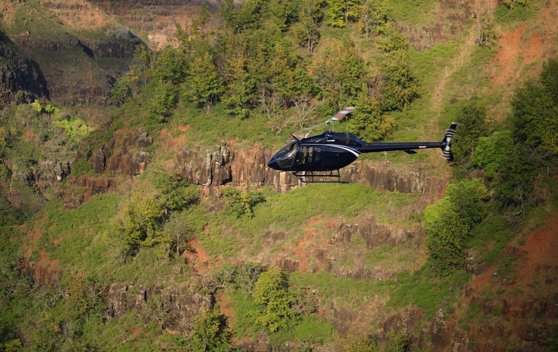 KAT05849_scrubbed_070722